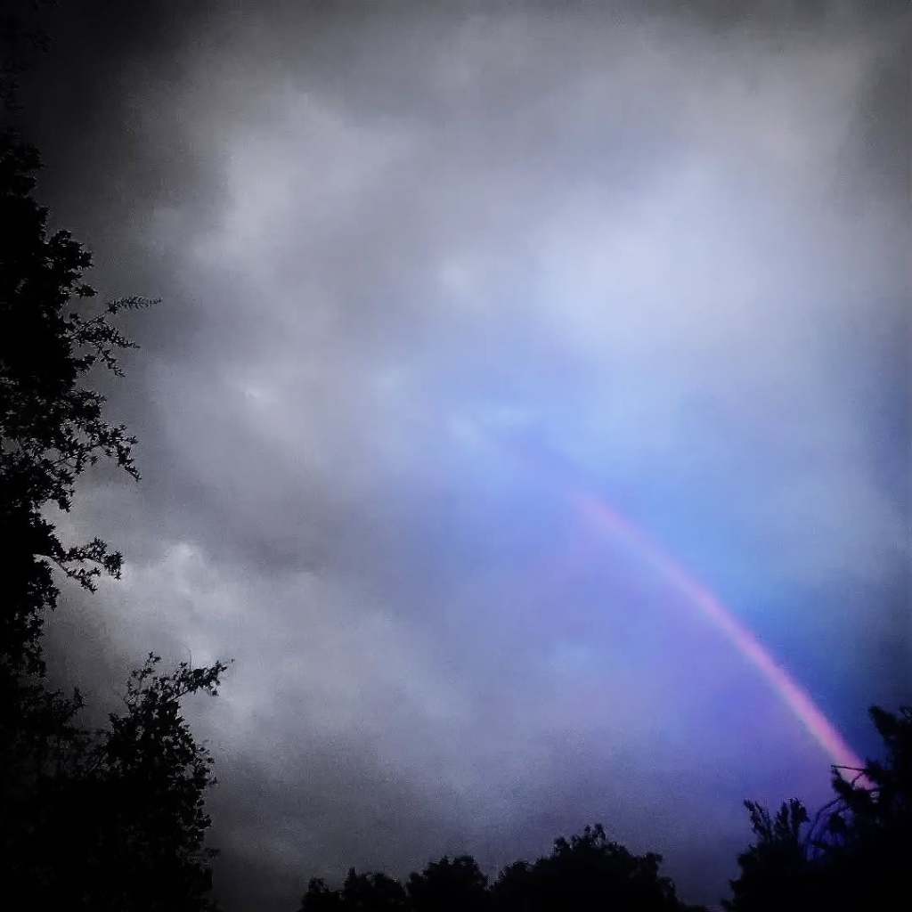 Tue, Oct 26, 2021 - 7:50 AM Miguel Hidalgo y Costilla 640, Centro, 64000 Monterrey, N.L.